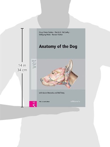 Anatomy of the Dog: with Aaron Horowitz and Rolf Berg: An Illustrated Text, Fifth Edition - Image 3