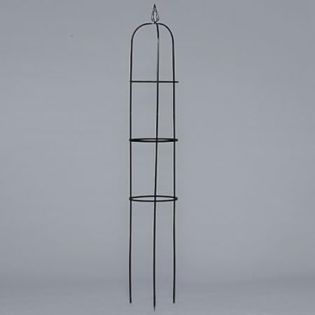 Gardman Easy Obelisk Kletterpflanzen-Gestell, 1,63 m