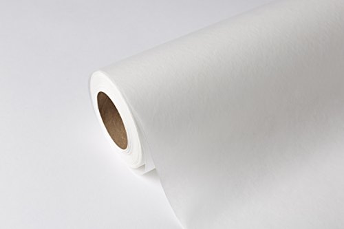 Medline Medical Exam Table Paper, Smooth Table Paper, 21 inches x 225 feet, Case of 12 Rolls