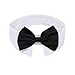 ZTON Handcrafted Adjustable Formal Pet Bowtie Collar Neck Tie for Dogs & Cats (S, Black)