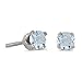 14k Petite White Gold Round Aquamarine Screw-back Stud Earrings