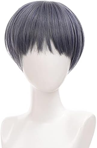 Amazon Co Jp メンズウィッグ 毎日コスプレアニメパーティーのための女性男の髪の髪の髪の髪のための合成黒人男性のかつらの短いストレートのかつら Color Gray Blue ホーム キッチン