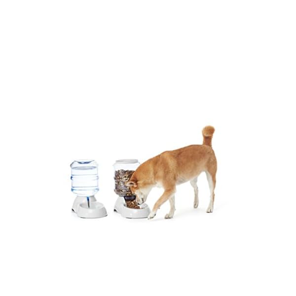 gravity pet food dispenser