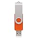 RAOYI 10PCS 2GB USB Flash Drive Orange Pen Drive Thumb Drive USB 2.0 Memory Stick Swivel Design