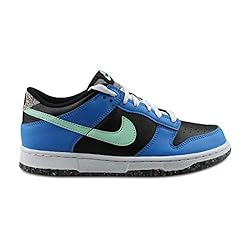 Nike Youth Dunk Low SE GS DR0165 001 Crater - Photo