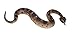 Safari Ltd Incredible Creatures Sidewinder Rattlesnake