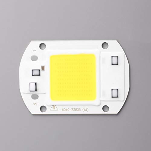 30W COB LED Chip F6040 AC110V AC220V Input IP63 Smart Integrated High Luminous LED Chip for DIY LED Floodlight - ColdWhit