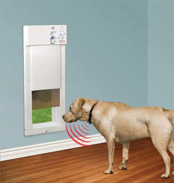 microchip dog door medium