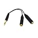 6.35mm Speaker Splitter Cable - Riipoo 20CM TRS 1/4” 6.35mm Jack Male to 2 x 6.35mm Jack Female Stereo Audio Adapter Cable,Splitter Cable, Golden Plated
