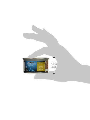 PURINA ONE SMART BLEND CAT TENDER BEEF FOOD, 3 OZ.