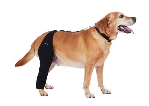 Photo 1 of Dog Recovery Sleeve Back Leg Waterproof Diving Material,Dog Leg Sleeve to Stop Licking and Biting Firm and Secure, Adjustable Size, Comfortable Alternative to Cone Collars (Medium, Single Leg)