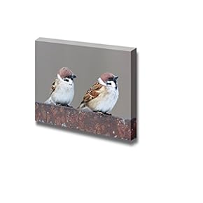 Canvas Prints Wall Art - Tree Sparrow (Passer Montanus) in The Nature | Modern Wall Decor/Home Decoration Stretched Gallery Canvas Wrap Giclee Print & Ready to Hang - 12" x 18"