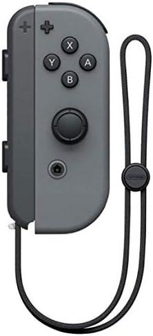 Amazon.com: Nintendo Joy-Con (R) - Gray for Nintendo Switch