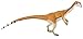 Safari Ltd. Coelophysis Figurine - Detailed 7.25