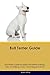 Bull Terrier Guide Bull Terrier Guide Includes: Bull Terrier Training, Diet, Socializing, Care, Groo by Austin White