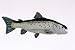 Atlantic Salmon Plush Fish 17