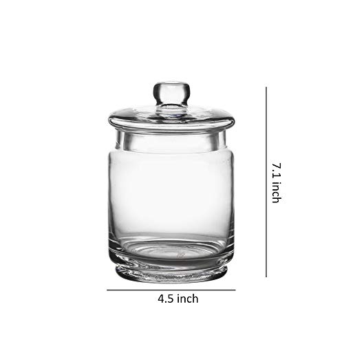 WHOLE HOUSEWARES Glass Apothecary Jars with Lids Set of 3 Small