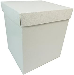 Unidades 2 Caja Fondo Tapa 20 x 20 x 23 cm efecto piel: Amazon.es: Hogar