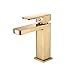 Gold Bathroom Faucet Single Handle with Supply Hoses,Solid Brass Body (Brushed Gold)