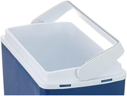 Frigorífico elétrico Mirabelle MM24 DC 21L – 12V para automóvel e camião – Frigorífico termoelétrico compacto para colocar atrás do banco – Arrefece até 15 °C abaixo da temperatura ambiente