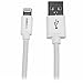 2m (6ft) Long White Apple 8-pin Lightning Connector to USB Cable for iPhone / iPod / iPad - Charge and Sync Cable