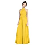 TAISHAN Chiffon Junior Bridesmaid Dress for Teens