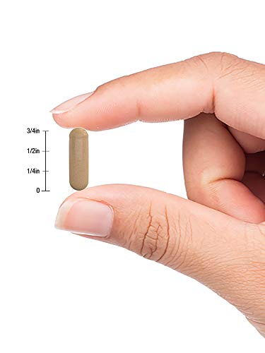 6 Marshmallow+Capsules+Non+GMO+Traditional+Horbaach