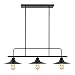 Light Society Margaux 3-Light Kitchen Island Pendant, Matte Black, Vintage Modern Industrial Chandelier (LS-C114)
