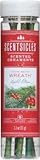 Christamas Wreath Scentsicles Fir and Holly Berry Scented Ornament 6 Pack Limited Edition