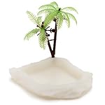 T-Rex Hermit Crab Dish with Palm Tree