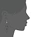 D EXCEED Fashion Chandelier Drop Earrings Teardrop Shaped Chandelier Crytal Dangle Drop Earrings for Women Black