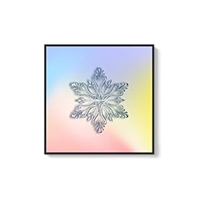 Framed Canvas Wall Art for Living Room, Bedroom Snowflake Theme Canvas Prints for Home Decoration Ready to Hang - 16x16 inches