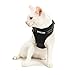 EXPAWLORER Escape Proof Cat Harness-Adjustable Light Comfortable Breathable Mesh Vest with Reflective Strap Black for Adult Cats and Puppies