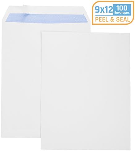Office Deed 9 X 12 SELF SEAL Security Catalog Envelopes- Designed for Secure Mailing- Securely holds up to 60 Sheets of Paper with strong Peel and Seal Flap (100 Envelopes)