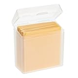 Single Cheese Slices Stay Fresh Storage Container