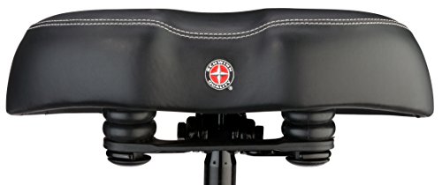 schwinn foam comfort breeze