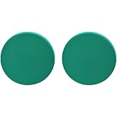 Large Colorful Disc Round Acrylic Button Stud Earrings for Women Geometric Minimalist Jewelry