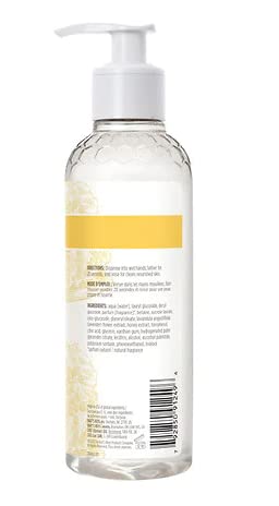 BURT’S BEES NATURALLY CLEAN HAND SOAP