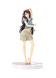 Banpresto NisiOisiN Anime Project: Nisemonogatari x Bakemonogatari: Hitagi Senjougahara DXF Figure