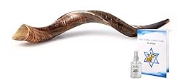 Yemenite Kudu Horn Shofar Shofars with Free Anti