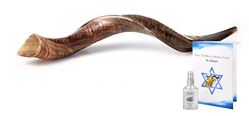 Yemenite Kudu Horn Shofar Shofars with Free Anti