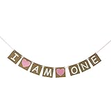 I Am One Banner For Girl - First Birthday Decorations - 1st Birthday