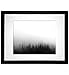 Forest Print Forest Photography Woodland Print Black and White Forest Forest Art Nature Photography Nature Wall Art Minimalist Art Minimalist Print Forest Wall Art Minimalist Art 8x10