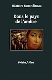 Dans le pays de l'ambre by Béatrice Renondineau