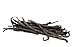 Slofoodgroup Grade B Vanilla Beans, 10 Premium Quality Extract Vanilla Pods for Making Homemade Vanilla Flavor, Vanilla Powder or Vanilla Paste, Tahitian and Bourbon Type Whole Vanilla Beans