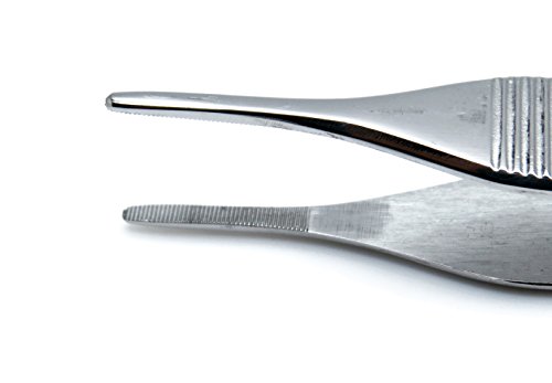 Dressing Adson Serrated Tip Tweezer 15cm Tissue Forceps Surgical Medical Plier Instruments - Thumbnail 2