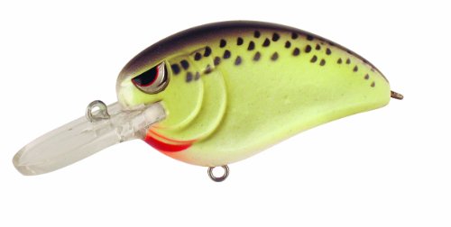 Spro Fishing Little John Medium Diving Crank Bait-Pack of 1