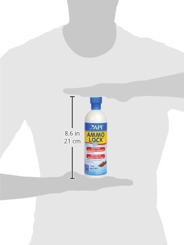 API AMMO-LOCK FRESHWATER AND SALTWATER AQUARIUM AMMONIA DETOXIFIER 16-OUNCE BOTTLE