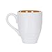 DEMDACO Bison Watercolor Brown On White 16 Ounce Glossy Stoneware Mug With Handle.