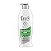 Curel Daily Moisture Fragrance-Free Lotion For Dry Skin 13 oz (Pack of 3)